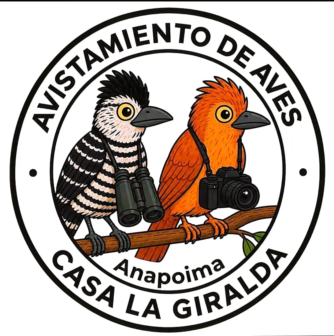 Avistamiento de Aves - Casa La Giralda, foto 2 de 7