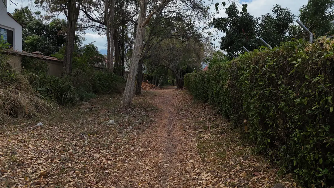 Camino Real Las Delicias, foto 2 de 2