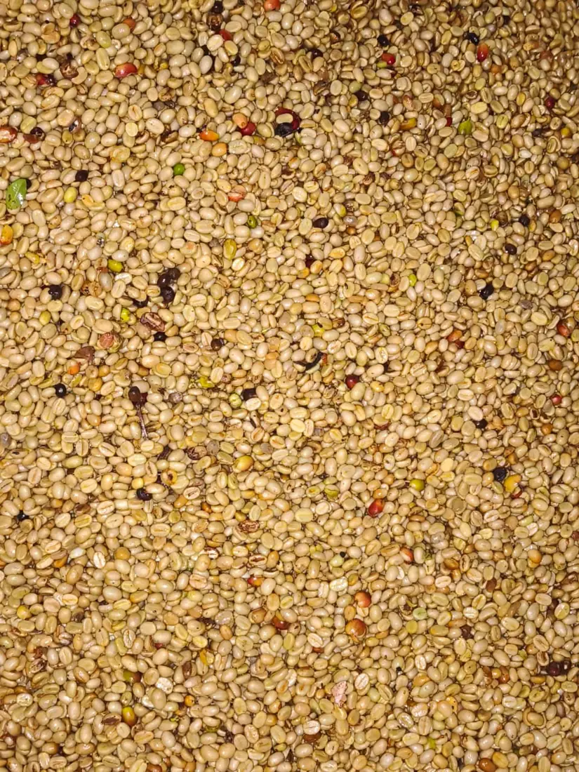Alimentos Zeres, foto 4 de 10
