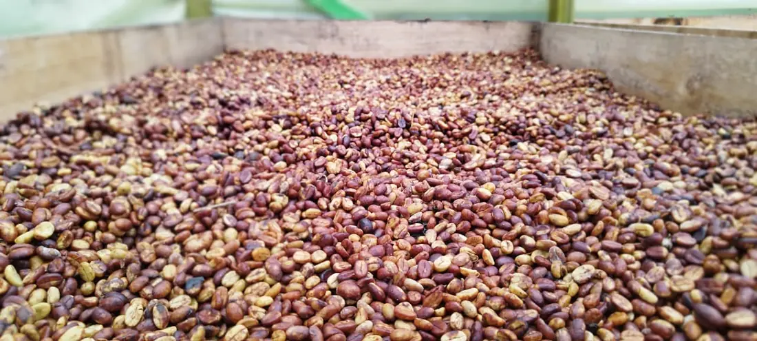 Alimentos Zeres, foto 10 de 10
