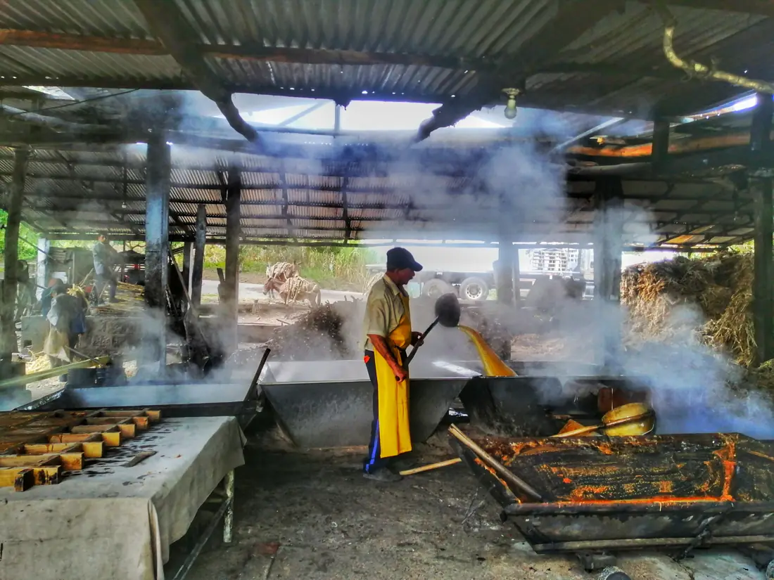 Trapiche El Salitre, foto 2 de 2
