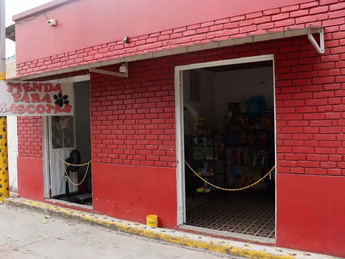 Tienda para Mascotas, Mi Perro, Mi Gato y Yo, foto 1 de 4
