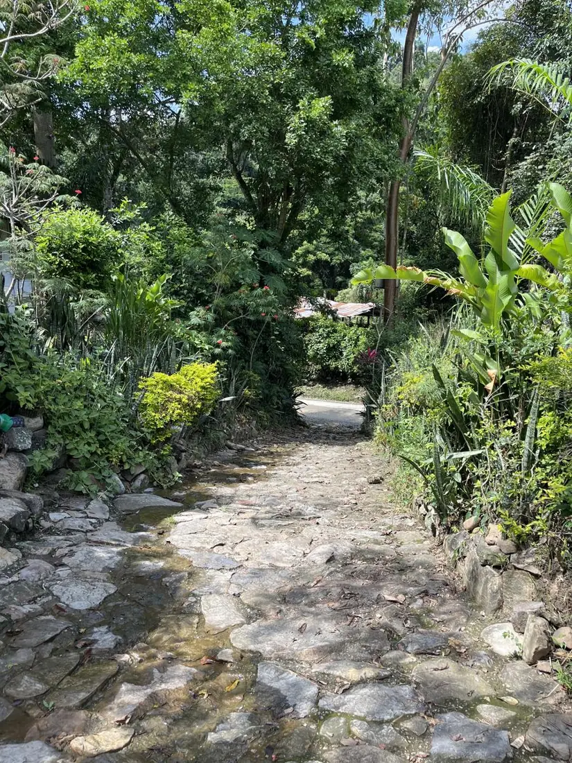 Ruta Camino Real Las Delicias, foto 1 de 1