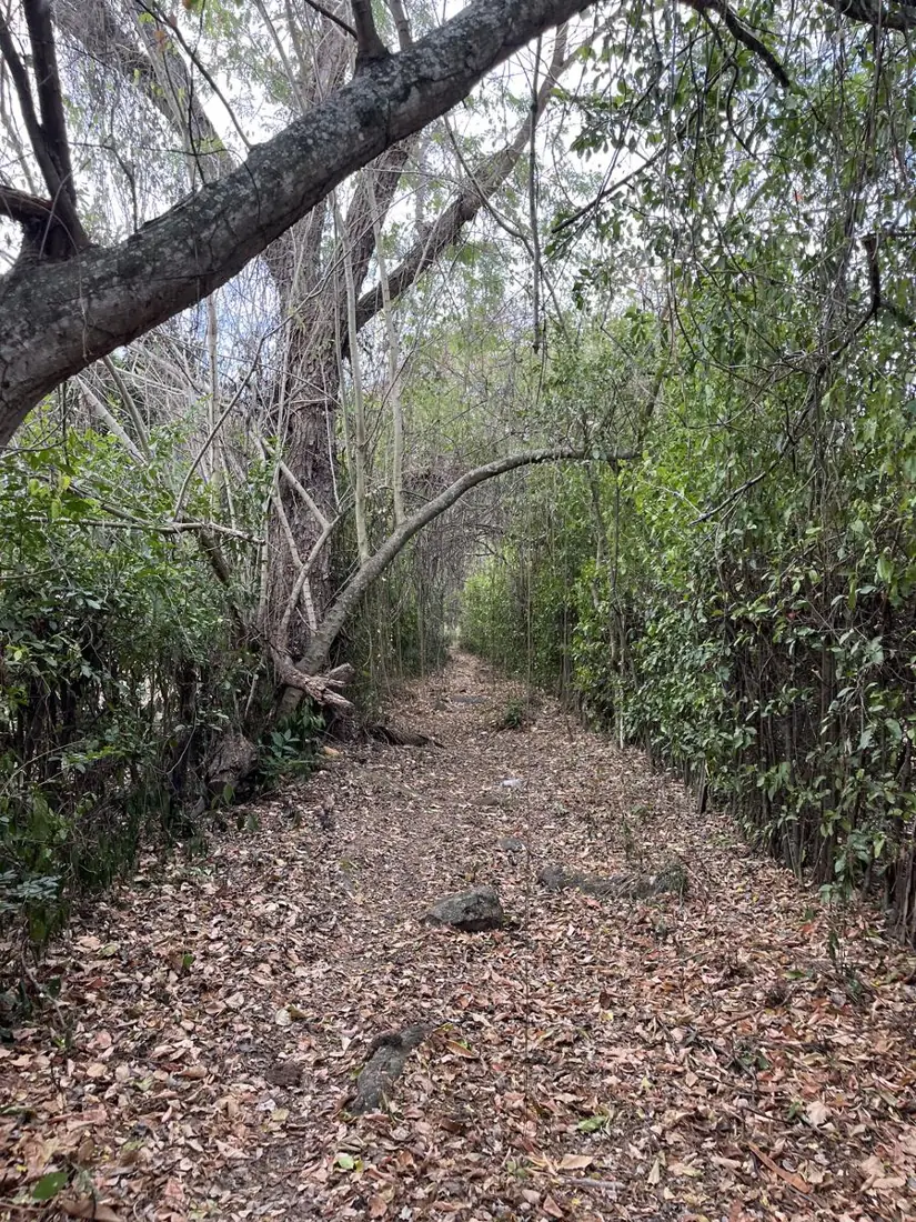 Ruta Plan de las Monjas – Camino Real del Río, foto 1 de 1