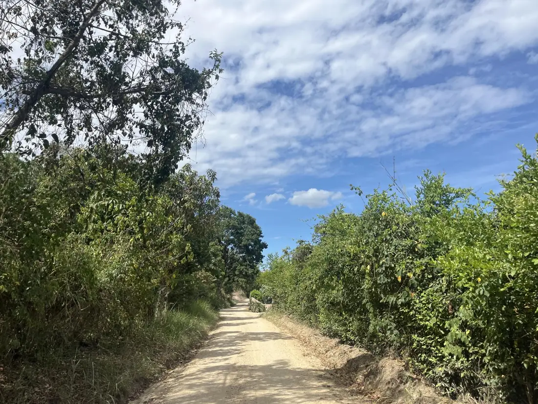 Ruta Vuelta San Judas – Palenque, foto 1 de 1