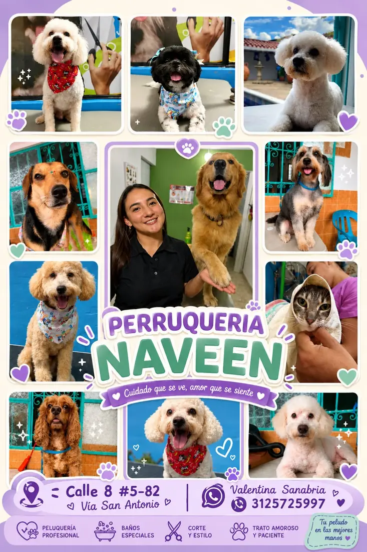 Perruquería Naveen, foto 1 de 2