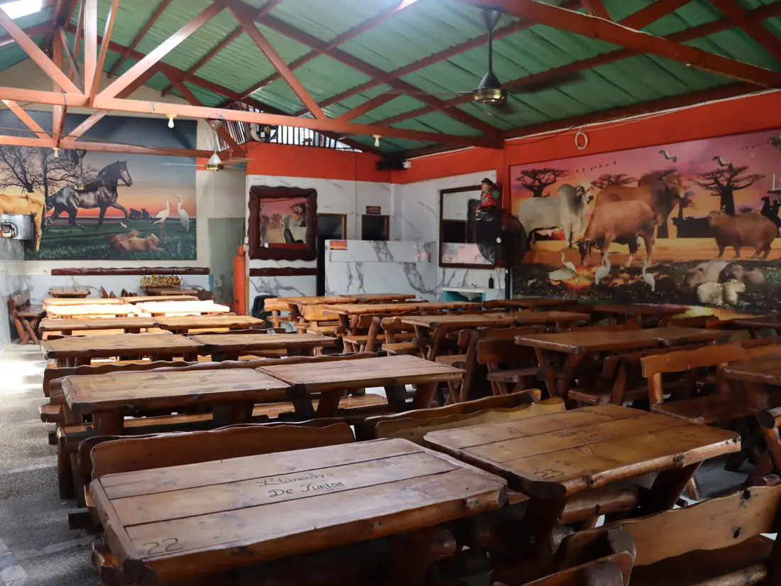 El Llanerazo de Junior, foto 5 de 6
